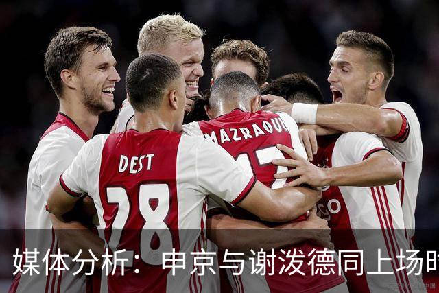 媒体分析：申京与谢泼德同上场时火箭挡拆防守面临挑战